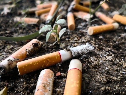 Cigarette butts discarded on ground