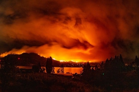 Wildfire in the distance behind trees and town in foreground
