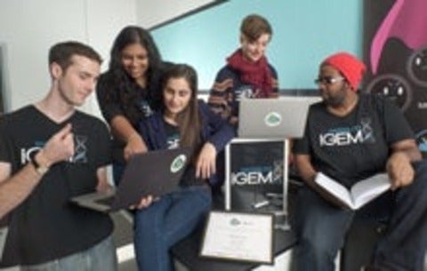 members of the iGem team