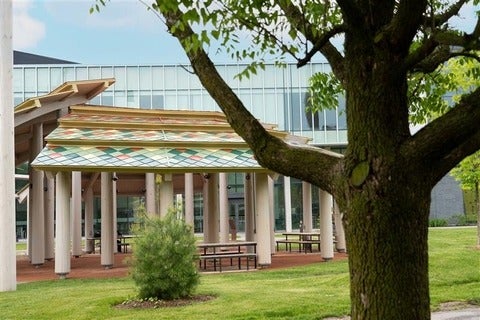 A beautiful indigenous-inspired pavilion on a summer's day