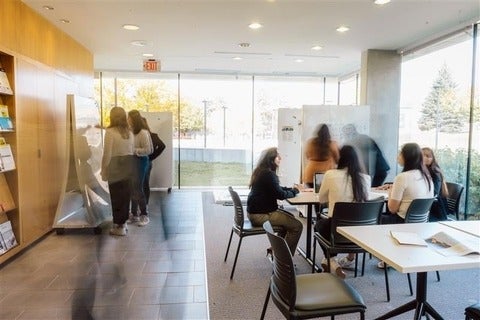 Groups of students working in a room with natural light