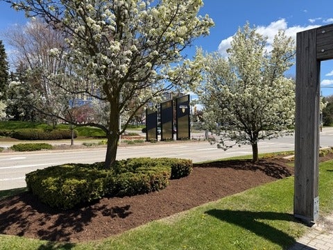 University of Waterloo sign in spring time