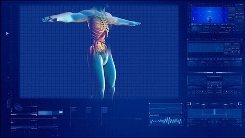 Computer model of kidney