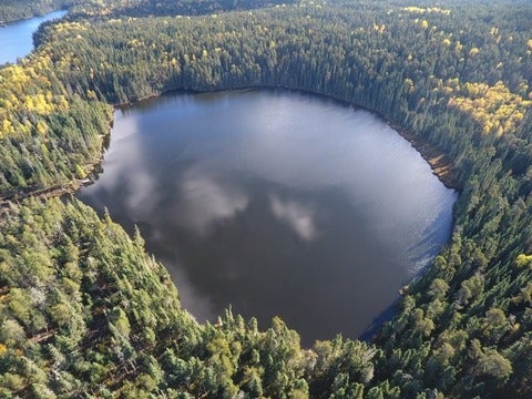 A birds eye view of a dark lake surrounded by green spruce trees