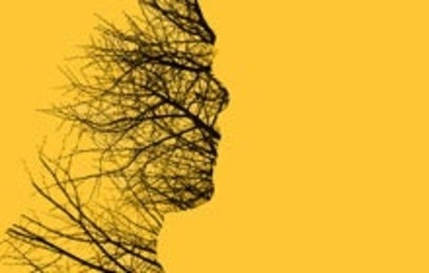 sketch of facial profile