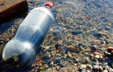 Litter in fresh water lake