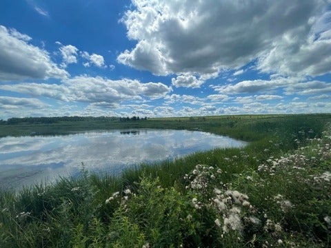 Small wetland