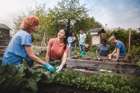 Two women in foreground gardening, with others in the background on a different plot