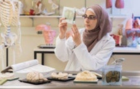 Nooran AbuMazen studying samples of a brain