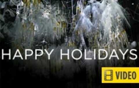 President's Holiday Message video