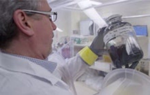 Researcher working in the lab