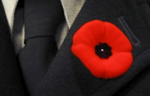 Red poppy on black lapel - photo by Flickr user striatic: http://www.flickr.com/photos/striatic/1402612/