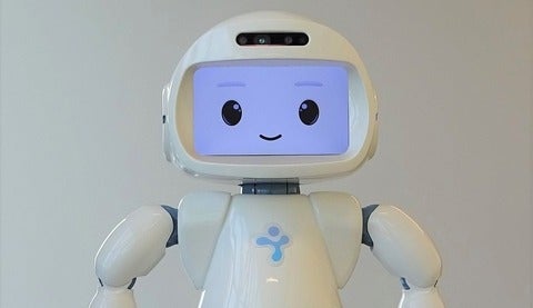 Small humanoid robot called QT