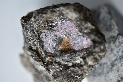 Photo of ruby looked at in the study