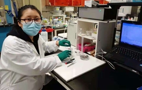 Wenyu Gao wearing a lab coat, gloves and mask, holding the prototype saliva sensor in the lab