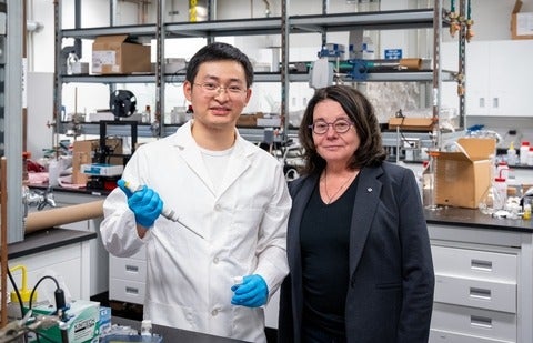 Waterloo researchers Chang Li and Linda Nazar