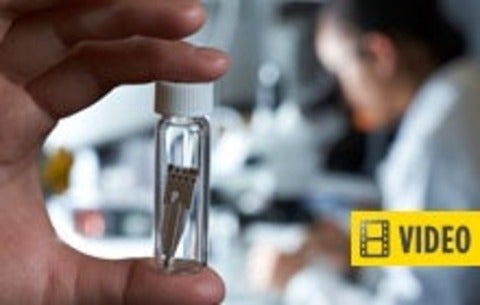 A test microfluidic apparatus with a sensor chip