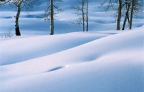 A snow covered landscape with trees in the distance