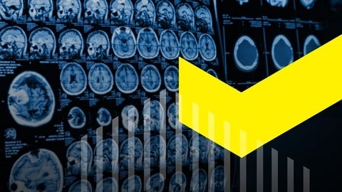 Brain scans
