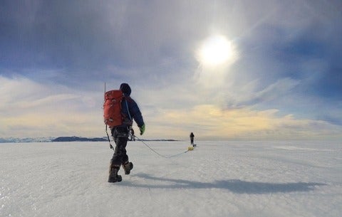 Dow walking across an ice sheet