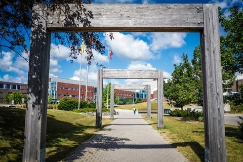 Entrance with wooden arches to campus towards Tatham Centre