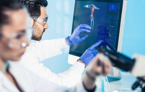 Researcher lookin at computational model of human body