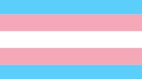 Transgender flag