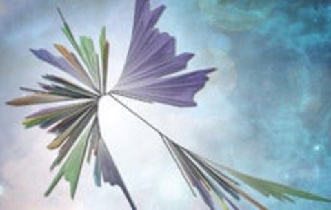 Tree of Life rendering