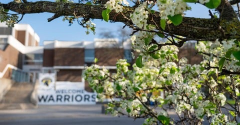 Warrior mural on display beyond some foliage