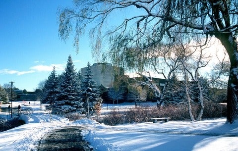 University of Waterloo campus