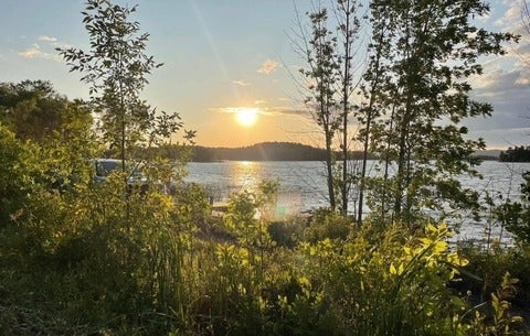 View of the water with trees and bushes at Whitefish River First Nation