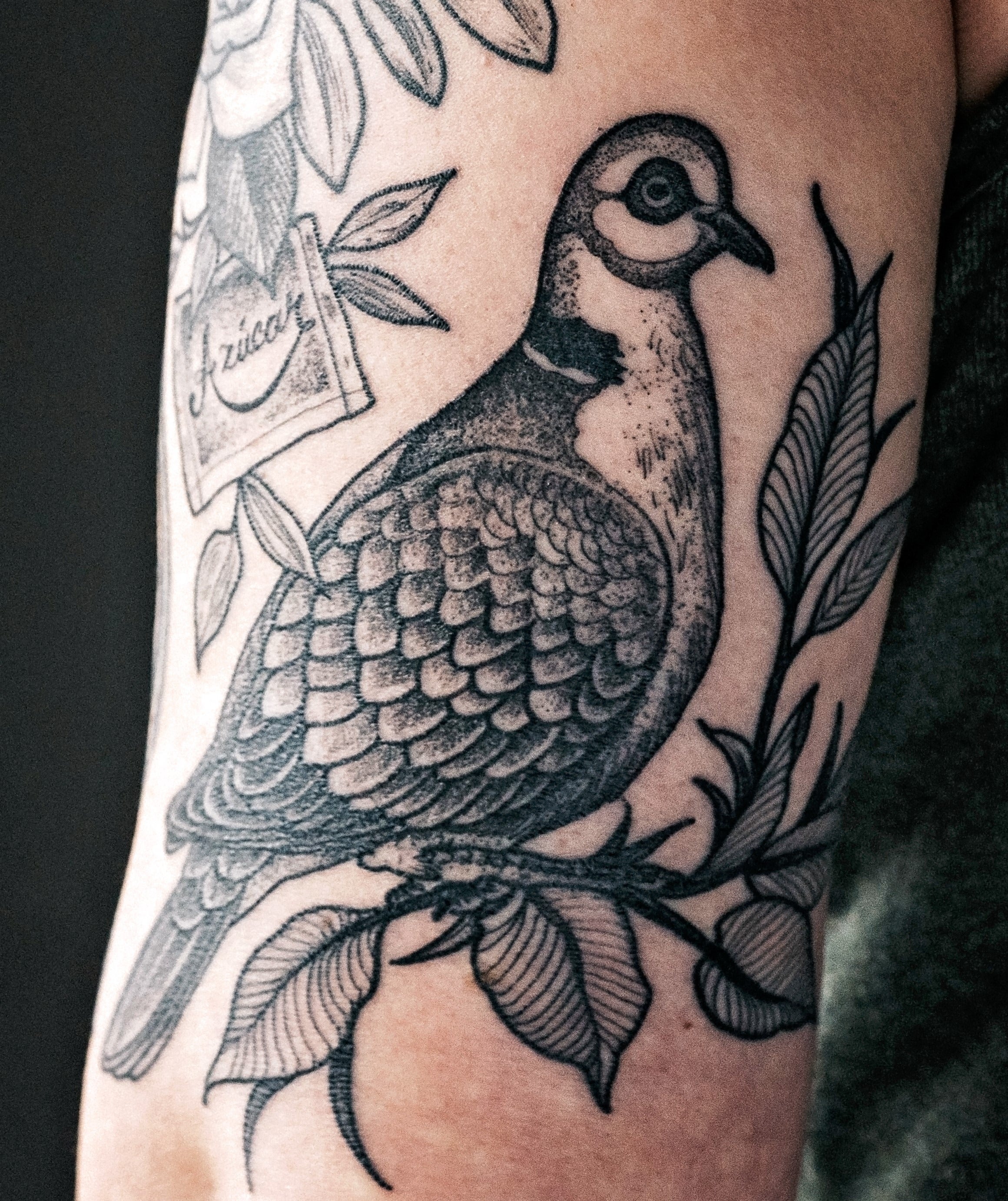 dove on branch tattoo