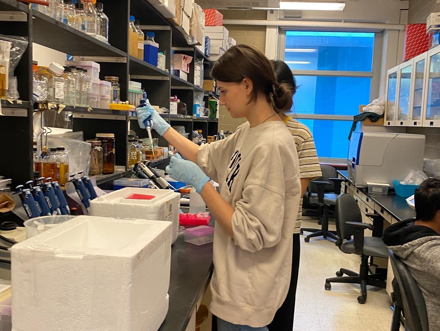 Undergrad student working on an experiment in a research lab 