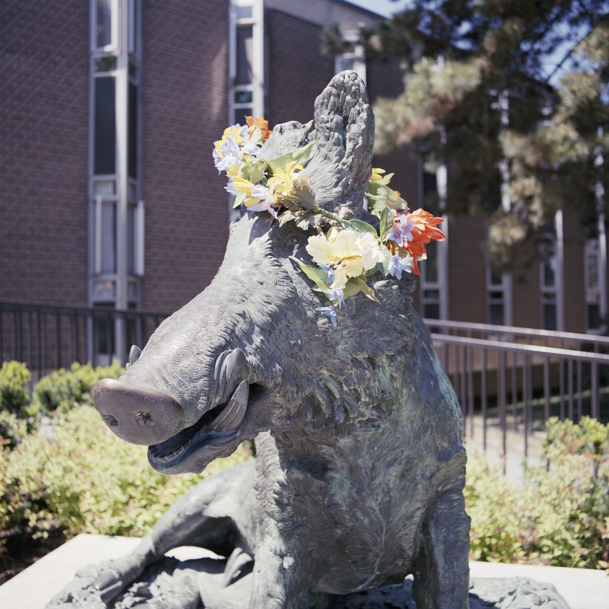Porcellino the Boar statue with a flower crown on its head