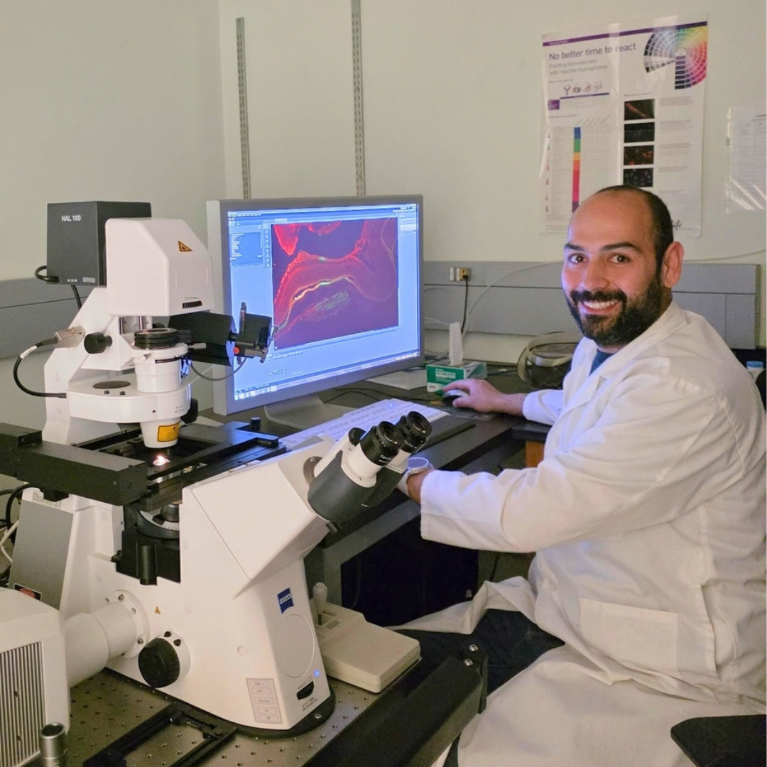 Antoine Hakim at the confocal microscope investigating nanoparticle delivery to the retina in eye cross sections.