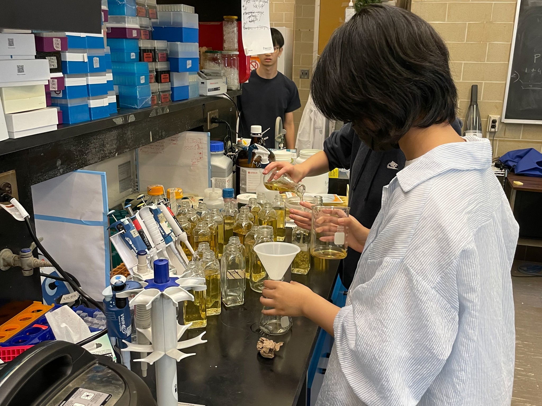 Undergrad student working on an experiment in a research lab 
