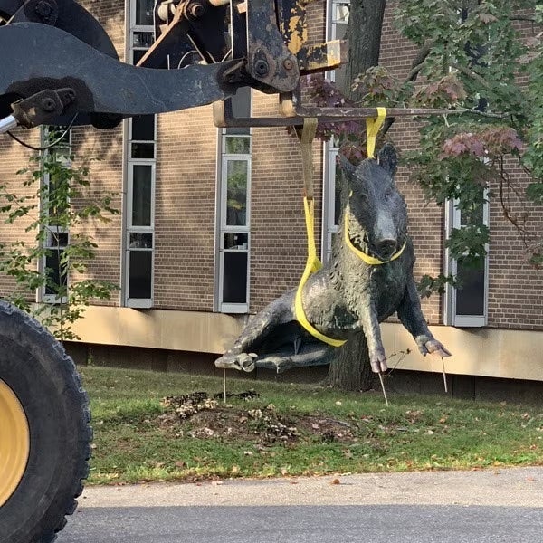 Porcellino hanging from a forklift