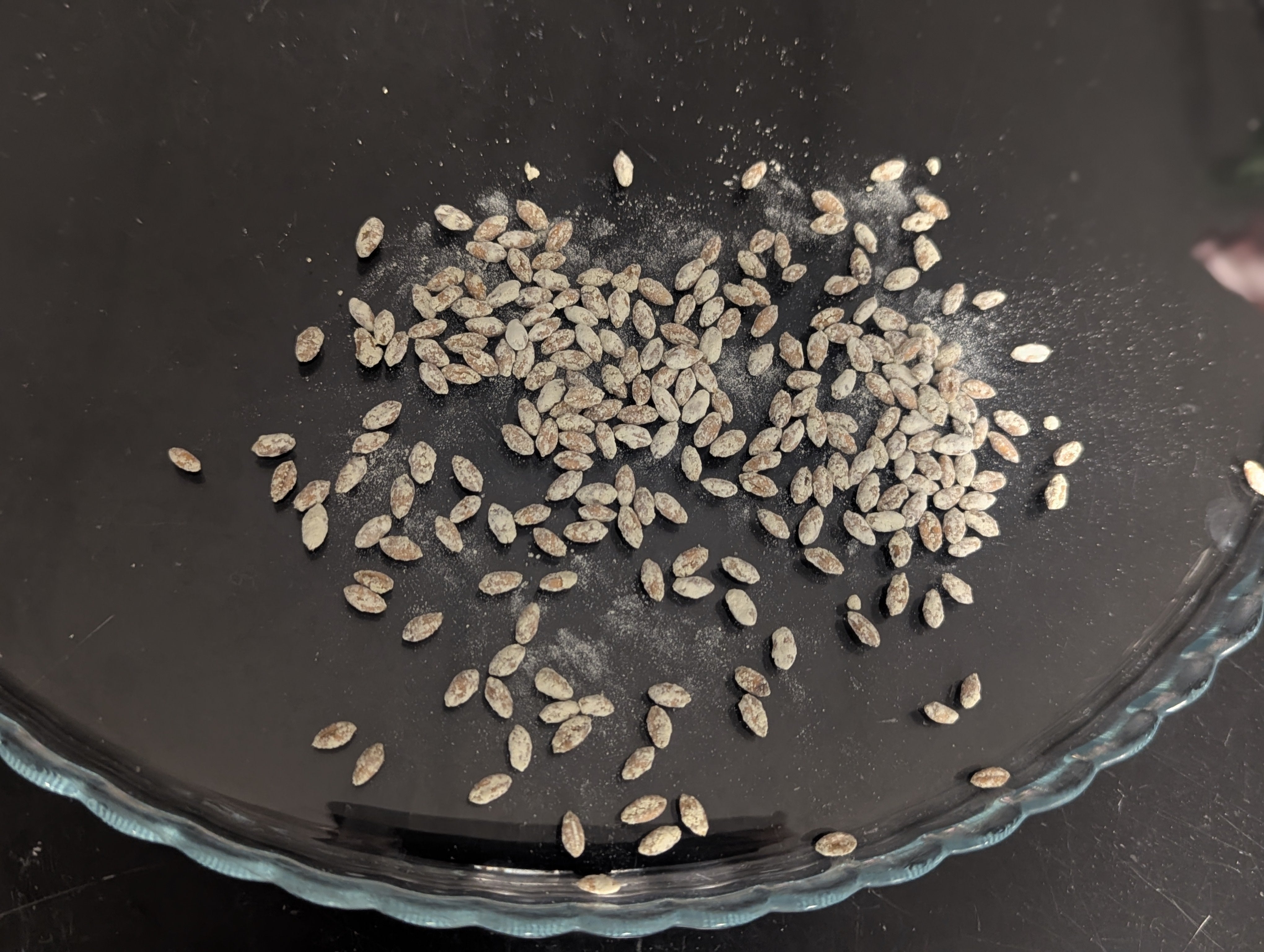 Seeds coated with a biodegradable polymer to hold moisture.