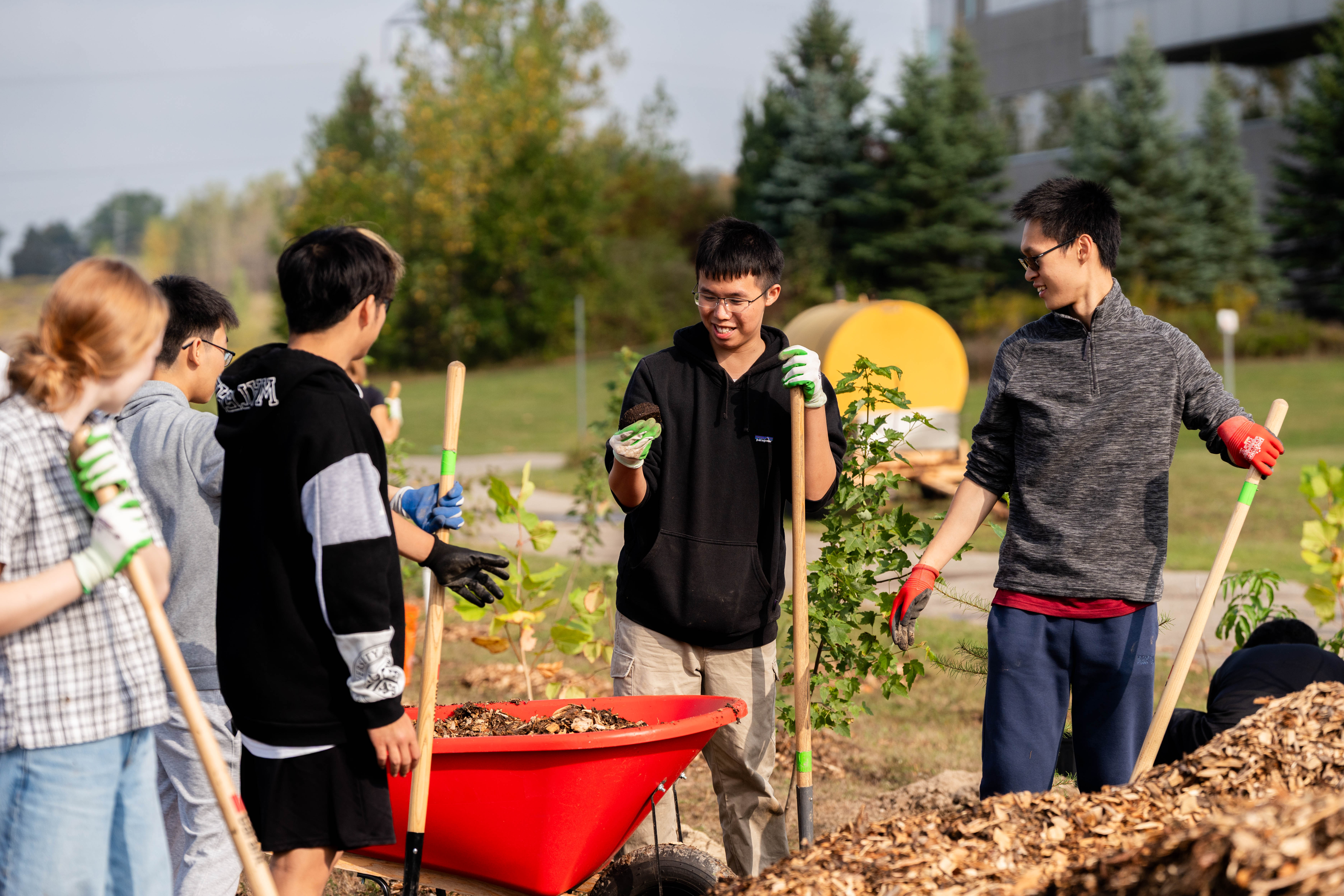 SFM students planting trees