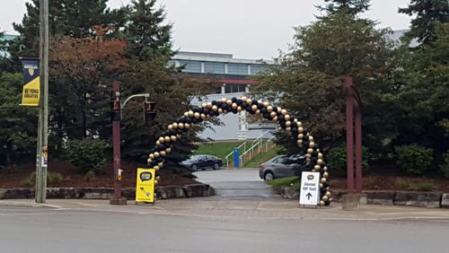 Balloon arch for Alumni Black and Gold Day