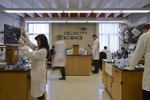 Companies work in the current Velocity Science space on campus.