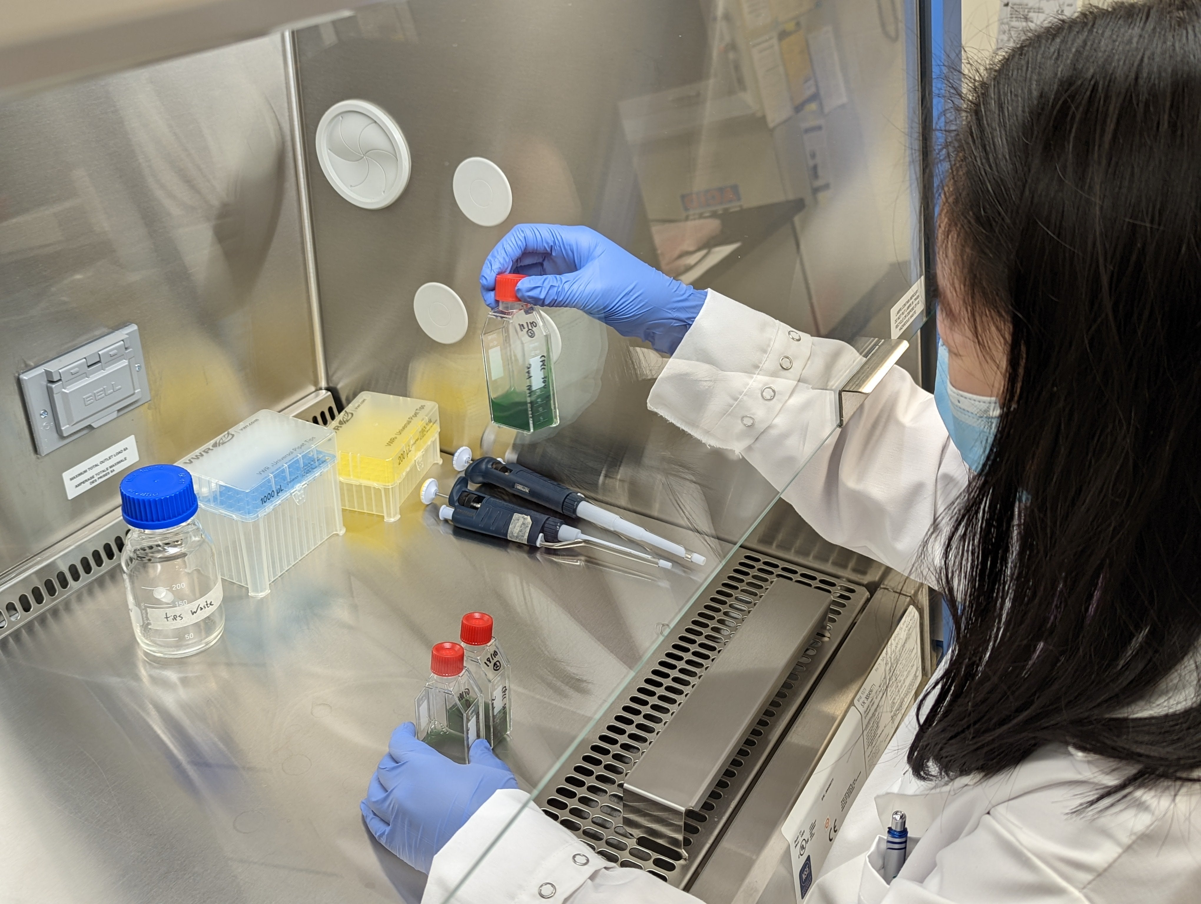 woman wearing lab coat and gloves holding a vial containing toxic algae