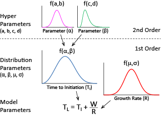 Order in uncertainty