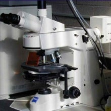 Microscope with image analysis system