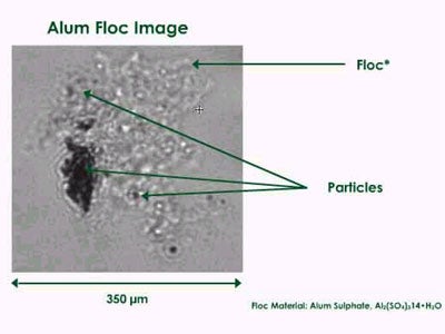 Image of alum floc with particles clearly visible