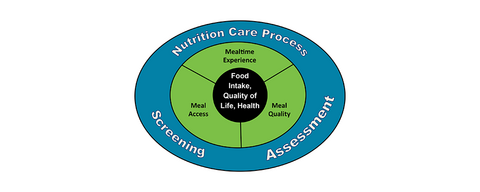 Visual representation of the Making the Most of Mealtimes (M3) framework.