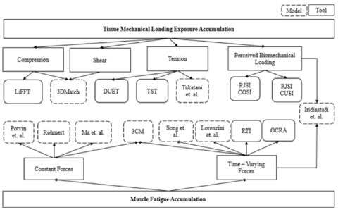 A diagram showing the tools that map to mechanical exposure accumulation and the models and tools that map to muscle fatigue accumulation