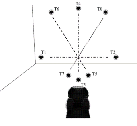 A schematic of the 3D visual target acquisition system target map as included in the US patent filing.