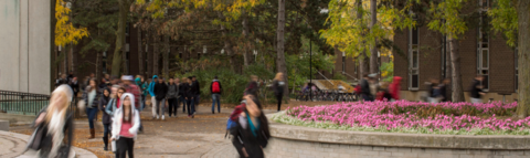Students walking through campus in the fall