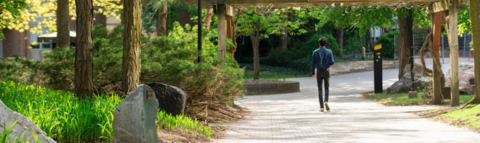 Person walking down a brick path, under a wooden structure, surrounded by trees